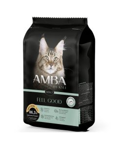 FW Amba by kyli Feel Good 400 g