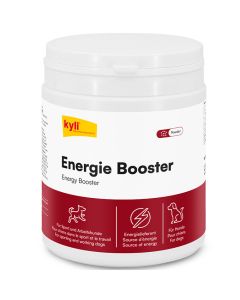 FW kyli Energy Booster 350 g