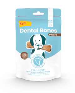 kyli Dental Bones Insecto