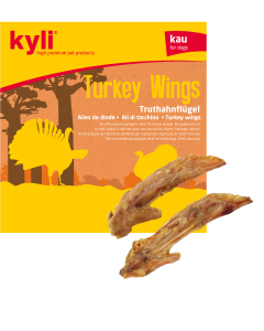 kyli Ailes de dinde 150 g